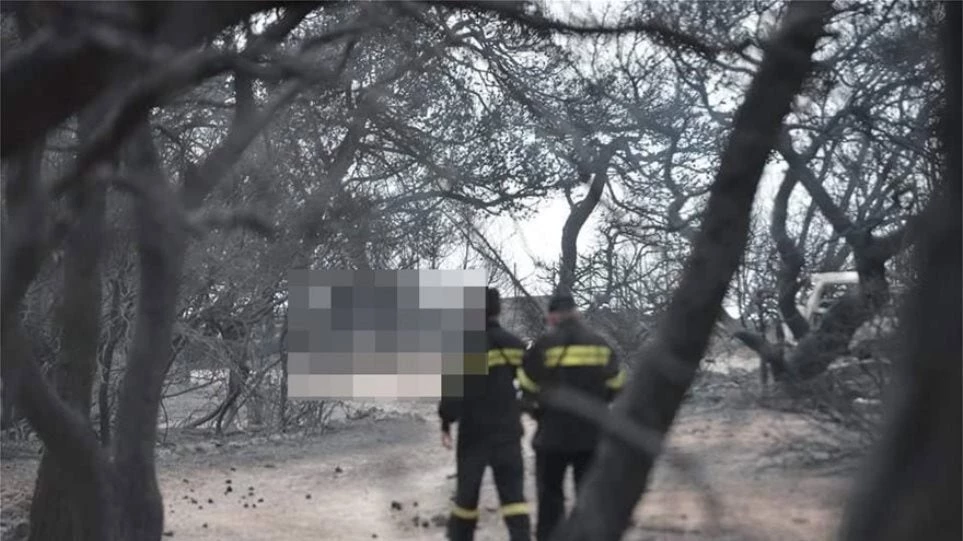 Αποκαλυπτική μαρτυρία του διασώστη στο χωράφι της φρίκης: «Βρήκαμε τους νεκρούς στα 30 μέτρα από τη θάλασσα» (βίντεο)